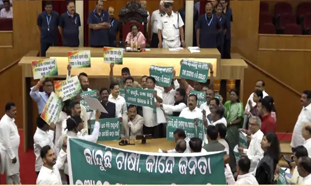 iconic-bengaluru-flower-show-postponed-due-to-pandemic