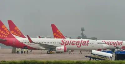 Delhi-Leh SpiceJet flight backs to pavilion for engine issues