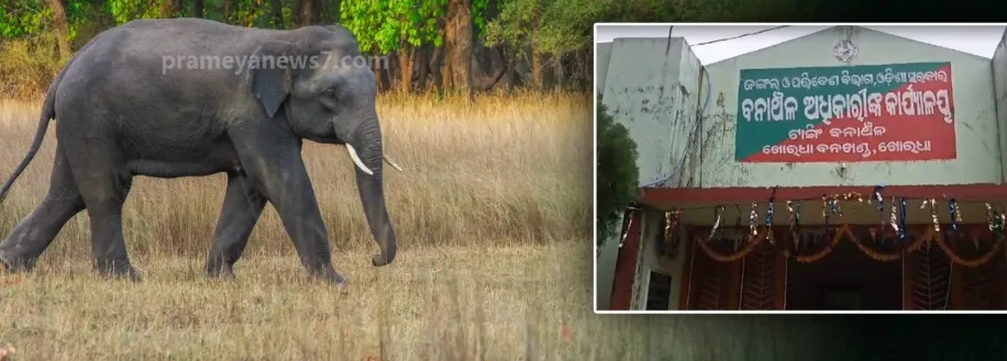 6-districts-alerted-against-rains-lightning