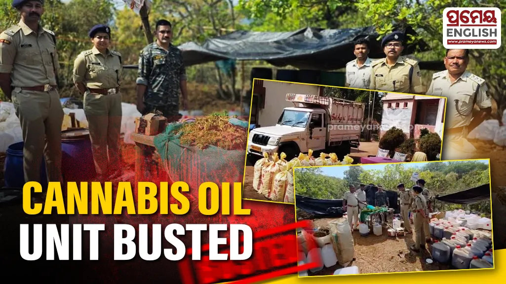 Cannabis Oil manufacturing unit busted in Odisha’s Koraput District

