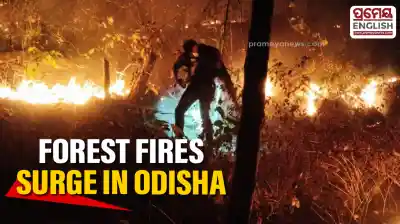 Odisha faces rising forest fires amid heat wave, 222 incidents reported in a day