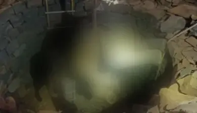 One-Year-Old elephant calf dies after falling into well in Keonjhar