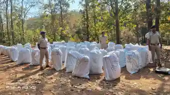 Ganja worth Rs 30 Cr seized by Kandhamal Police in two days