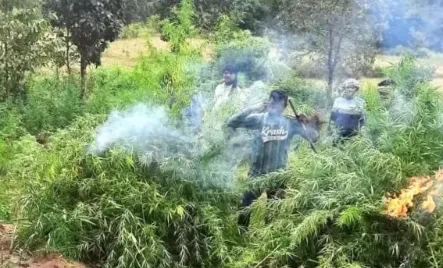 wpl-gujarat-giants-keen-to-excel-this-season