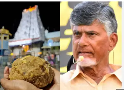 Andhra Pradesh to Form Panel on Tirupati Laddu Adulteration Case