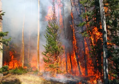 69th-national-film-awards-vicky-kaushalstarrer-sardar-udham-feted-with-best-hindi-film-honour