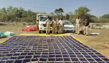 Rampur Police seize 9,000 Bottles of cough syrup worth Rs9 Lakh in Subarnapur