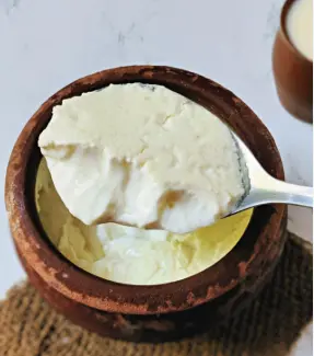 Odisha’s Manikapatna Curd set to receive GI tag, preserving culinary and cultural heritage