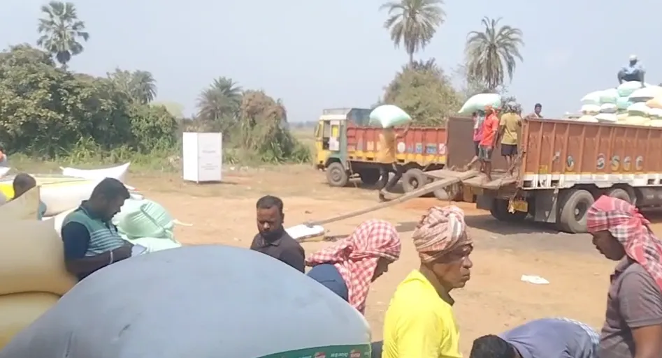 69 Mandi Officers’ Salary Withheld in Odisha Over Absence