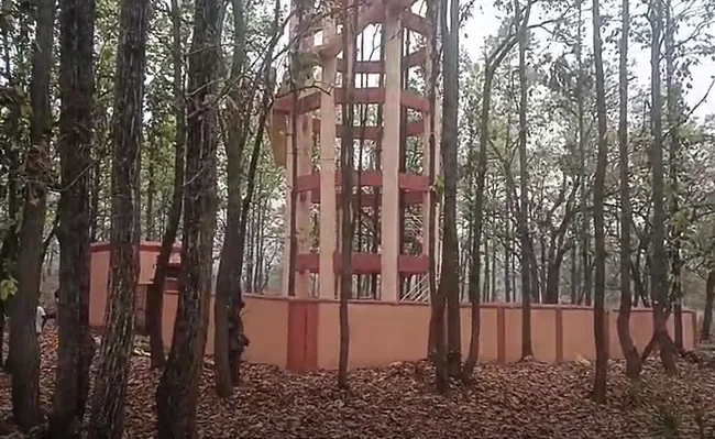 carlos-alcaraz-never-imagined-to-be-world-no-1