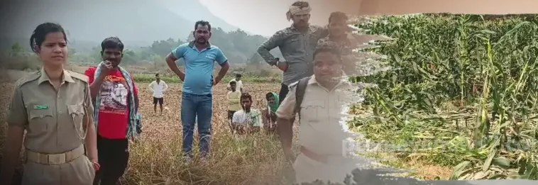 keonjhar-minor-girl-found-hanging-from-tree