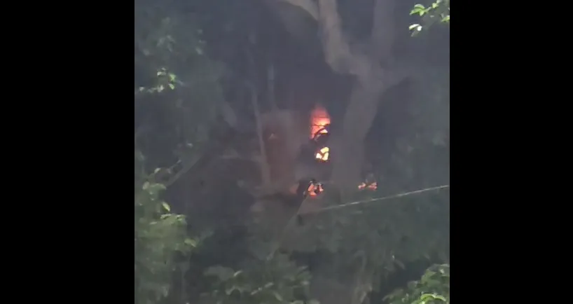 ipl-13-questions-over-vivos-sponsorship-bcci-says-no-need-to-panic