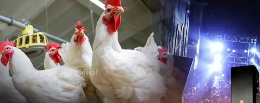 cuttack-on-bird-flu-alert