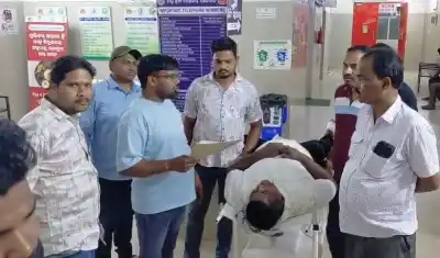 Rogue tusker tramples youth in Dhenkanal, critical