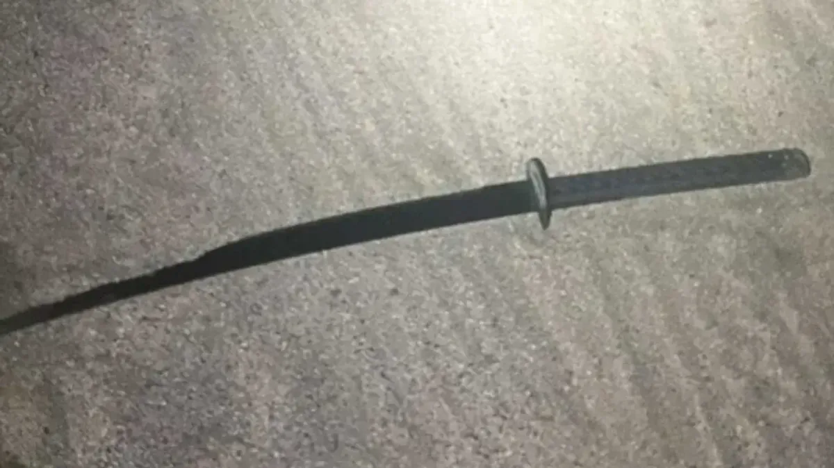 rath-yatra-2022-agyan-mala-bije-rituals-begin