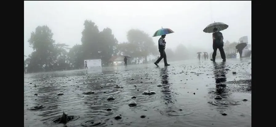 ncb-busts-drug-syndicate-in-chennai-6-including-3-sri-lankan-nationals-held