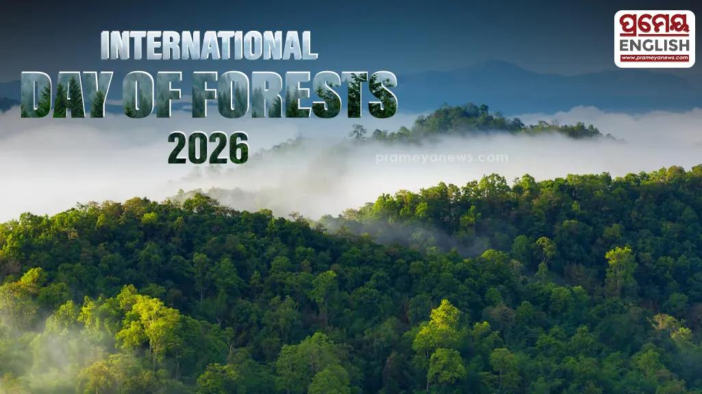 International Day of Forests 2026: Highlighting role of forests in environmental & economic sustainability

