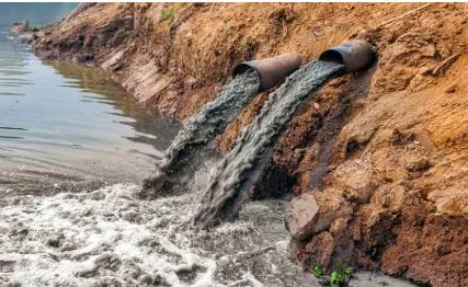 Urban wastewater study highlights growing threat of antimicrobial resistance in India