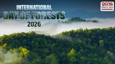 International Day of Forests 2026: Highlighting role of forests in environmental & economic sustainability