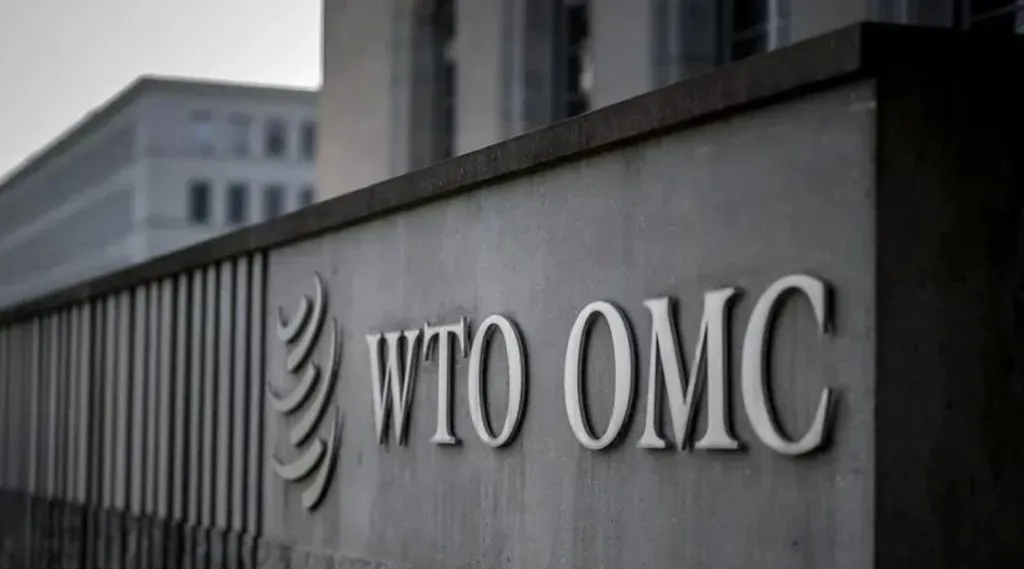 Crucial food security and digital trade talks face major roadblocks at the next WTO MC14