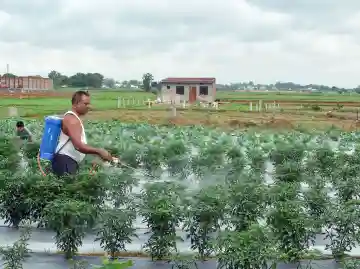 Strait of Hormuz closure triggers logistics shock for Indian fertilizer sector: Report