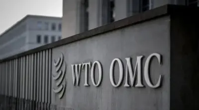 Crucial food security and digital trade talks face major roadblocks at the next WTO MC14