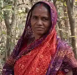 Woman dies in monkey attack in Rajnagar village