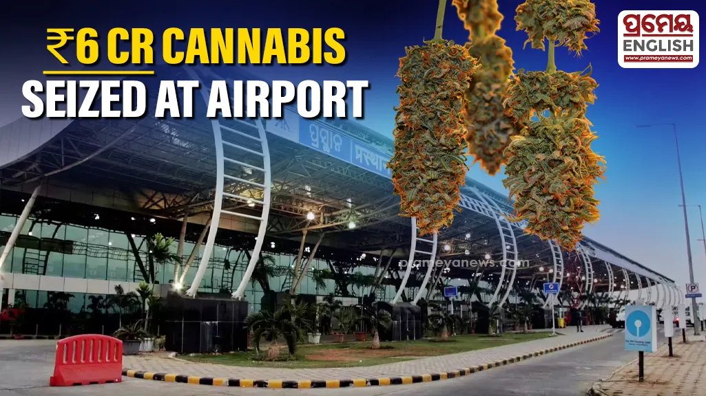 Bhubaneswar customs seize Rs 6 Cr Cannabis consignment from Bangkok-bound passengers

