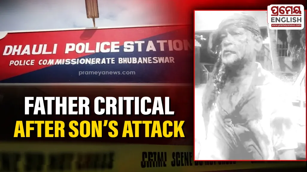 Drunk son hacks father in Dhauli area, victim critical