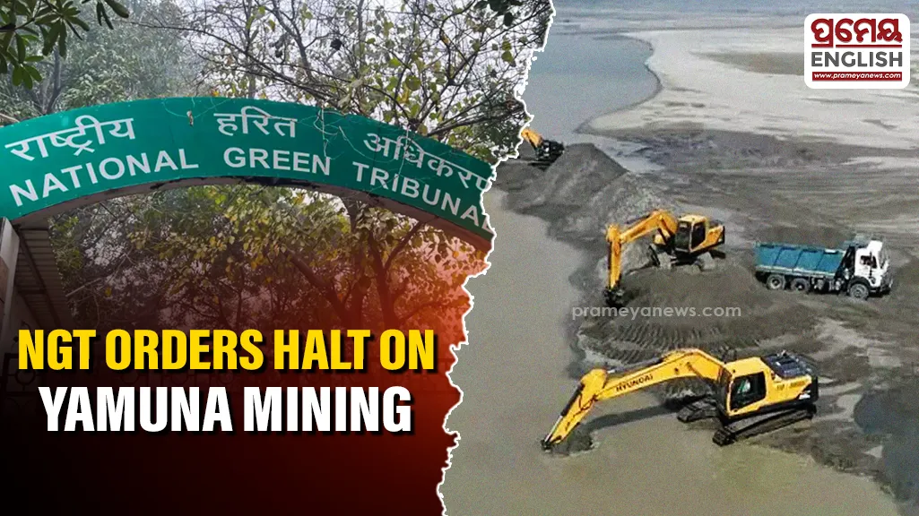 NGT orders probe into illegal Yamuna mining, directs immediate halt