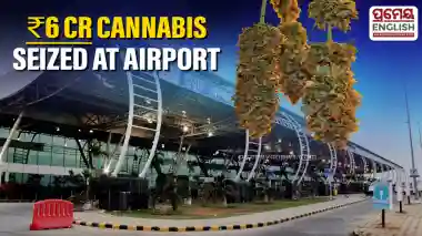 Bhubaneswar customs seize Rs 6 Cr Cannabis consignment from Bangkok-bound passengers