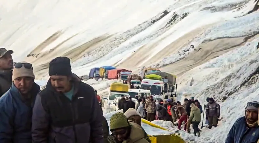 7 dead, 5 injured after Avalanche hits vehicles at Zojila Pass in J&K