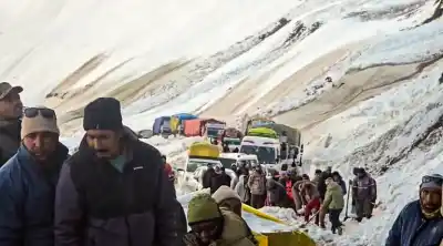 7 dead, 5 injured after Avalanche hits vehicles at Zojila Pass in J&K