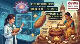 Researchers reveal potent brain health secrets of Mati Alu cooked in Odisha temple Prasad