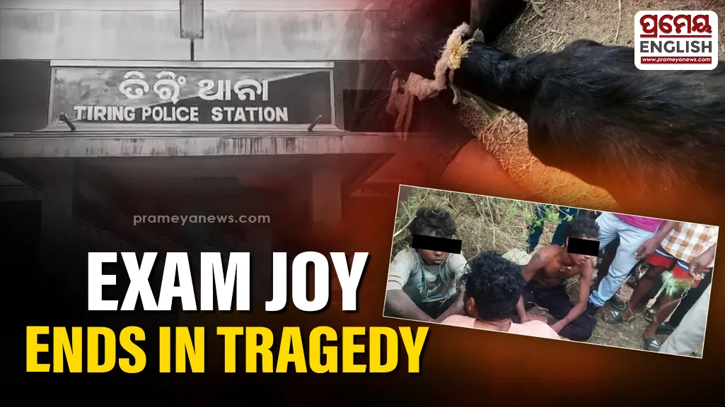 terrorist-associate-arrested-in-jk