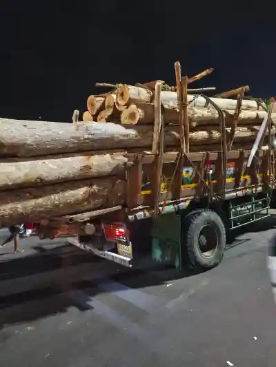 Rath Yatra 2026: Fourth batch of Chariot wood arrives in Puri