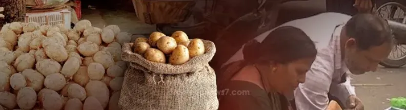 Potato prices in Bhubaneswar have surged, causing concern among consumers and farmers as well. 