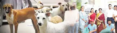 Bhubaneswar launches mass dog vaccination drive to become rabies-free city