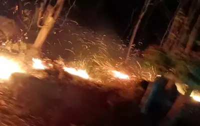 Odisha deploys AI technology to prevent and monitor forest fires