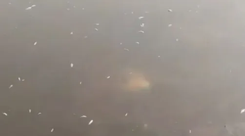 prohibitory-orders-in-bhubaneswar-cuttack-from-7-pm-to-5-am-till-june-30