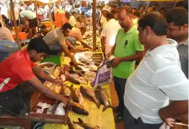 Festive rush boosts Non-veg markets in Odisha on Holi