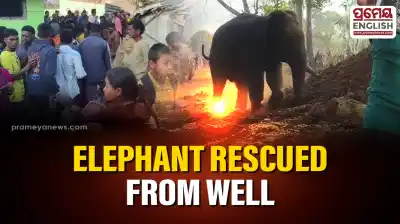 Elephant rescued after falling into deep well in Odisha village