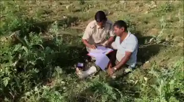 Man arrested for illegal opium cultivation in Nabarangpur