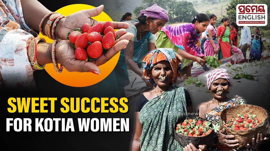 exboyfriend-arrested-for-sending-obscene-photos