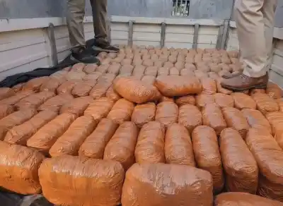 Over One Quintal of Ganja seized, two arrested in Sundargarh smuggling crackdown