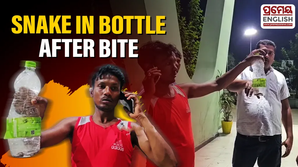 Angul: Elder brother brings snake in bottle to hospital after bite incident