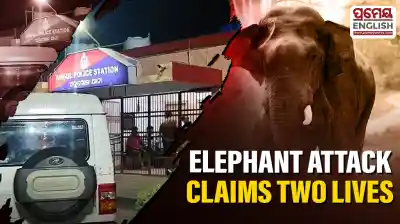 Rogue elephant kills mother & child in Angul’s Madhupur village