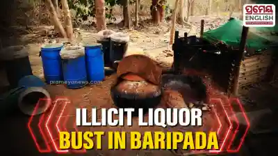 Baripada Excise raid: 700 litres of illicit liquor seized, 3 held