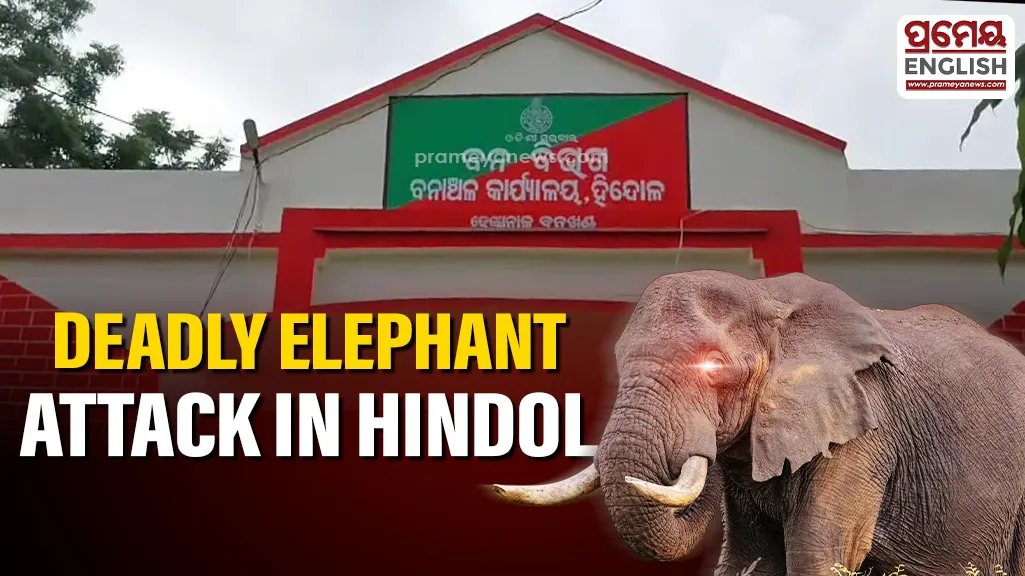 Woman killed in elephant attack in Odisha’s Hindol