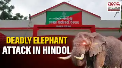 Woman killed in elephant attack in Odisha’s Hindol
